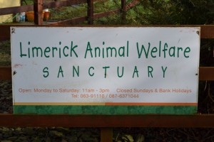 First Year Trip to Limerick Animal Welfare in Kilfinane – Nenagh College