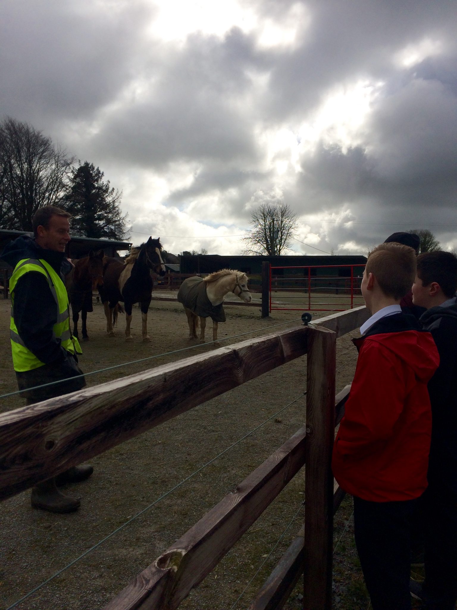 Limerick Animal Welfare, Kilfinane, Co. Limerick – Nenagh College Limerick Animal Welfare, Kilfinane, Co. Limerick – Nenagh College
