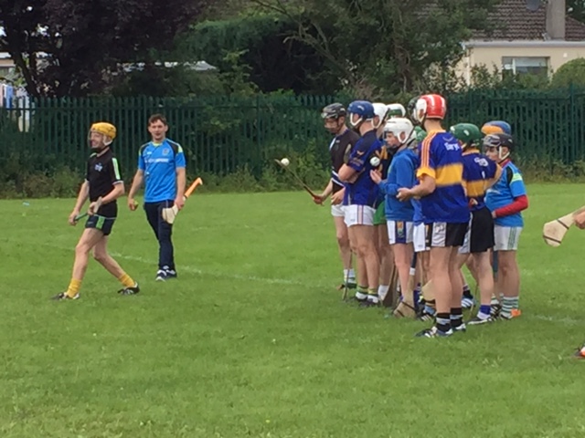 Niall O Meara putting the participants through their paces at " Total Hurling Workshop" at Nenagh College