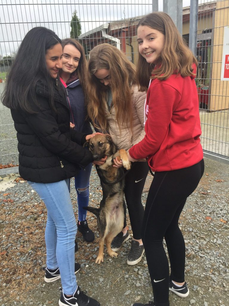 Limerick Animal Welfare – Nenagh College