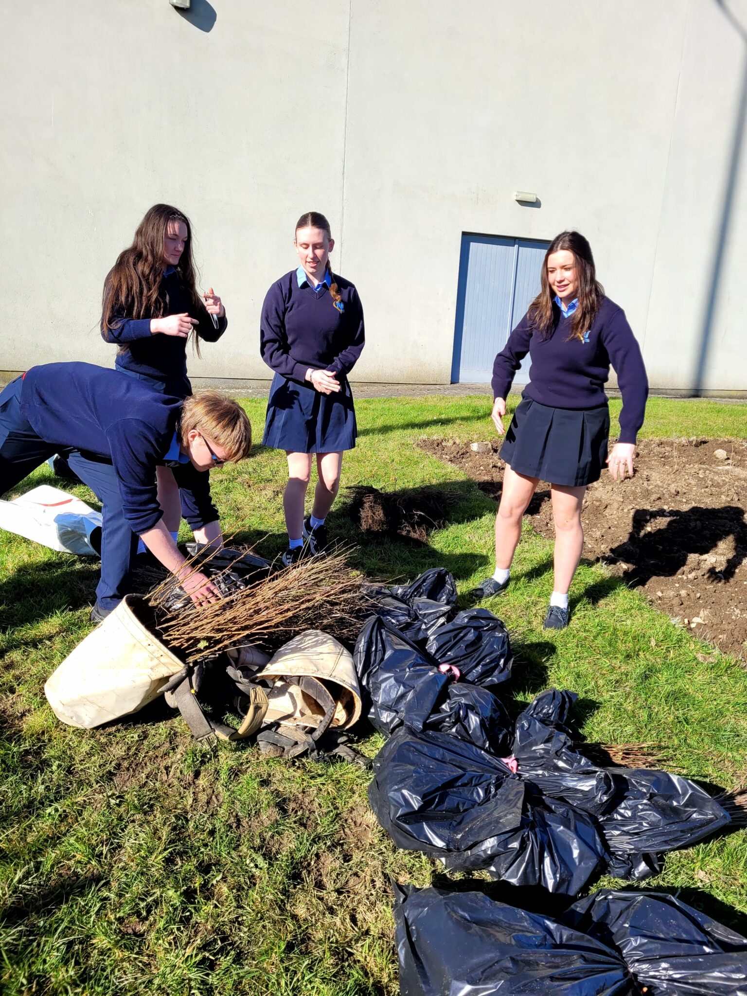 100 Million Trees Project – Nenagh College